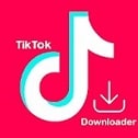 TikTok-Video-Downloader-APK